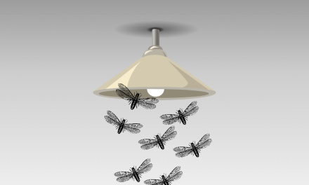 BAYANG LARON DI BAWAH PHILIPS 12 WATT