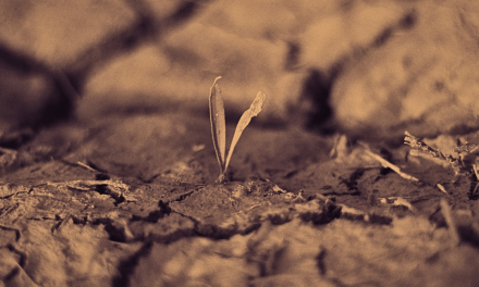 Sabda Ilalang Kering