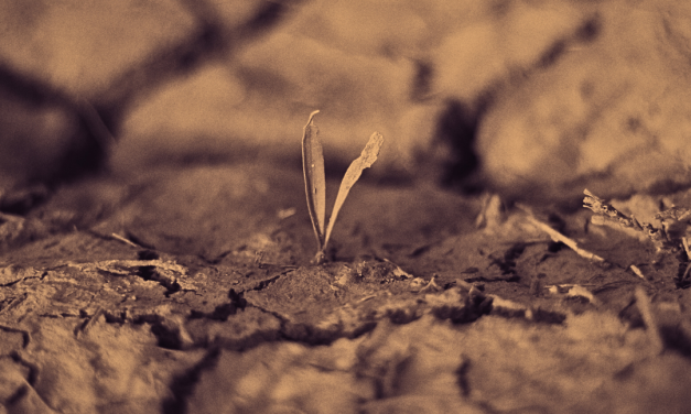 Sabda Ilalang Kering